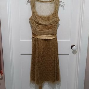 Eliza j New York Gold Lace Special Occasion Dress